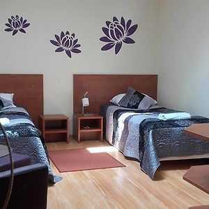 Pokój typu standard z dwoma pojedynczymi łóżkami